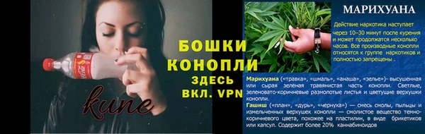 PSILOCYBIN Горно-Алтайск
