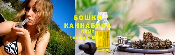 МДПВ Горняк