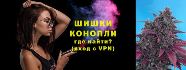 дмт Вяземский