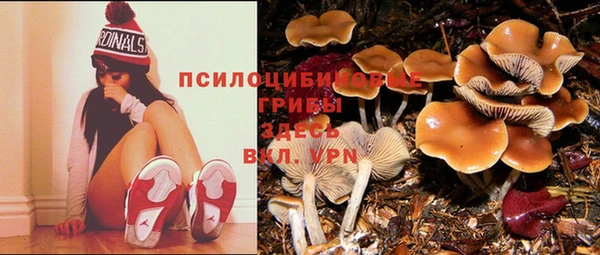 бутират Вязьма