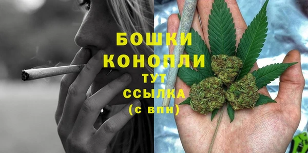 PSILOCYBIN Горно-Алтайск