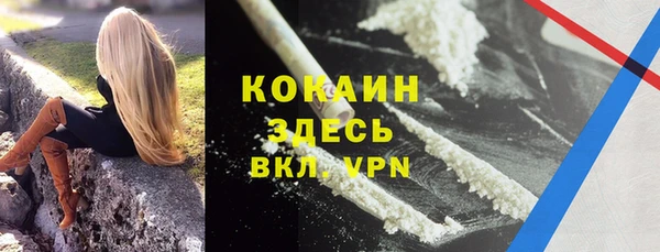 дмт Вяземский