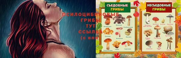 МДПВ Горняк